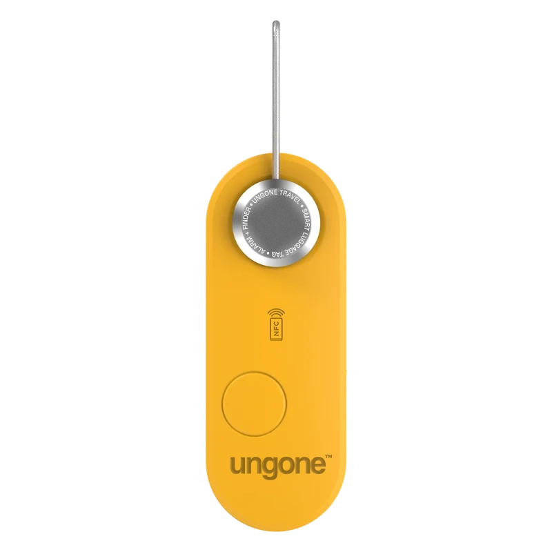 13203